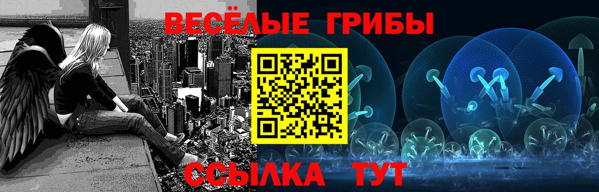 ЭКСТАЗИ Великие Луки